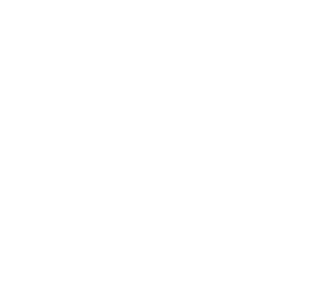 Pixel + Bit